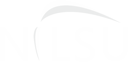 Nilsu Pompa Resmi Web Sitesi